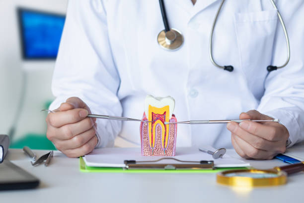 Best Same-Day Emergency Dentist in Jersey Village, TX